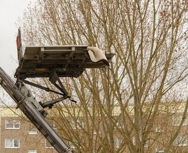 Möbellift in Jena: Möbellift zwischen kahlen Bäumen vor einem Gebäude