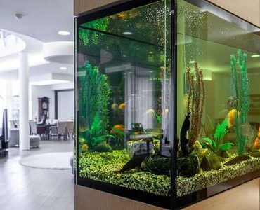 Aquarium-Umzug Jena: Großes Aquarium in einem modernen Wohnzimmer