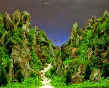 Aquarium-Umzug Jena: Aquarium mit Felslandschaft und Pflanzen